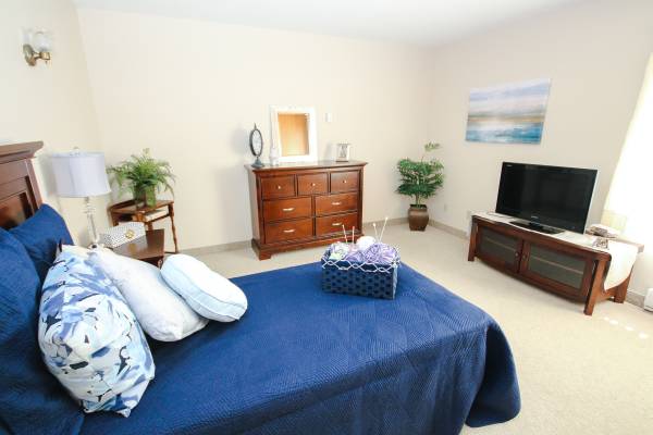 A studio with a bed covered in a navy blue bedspread in the foreground.